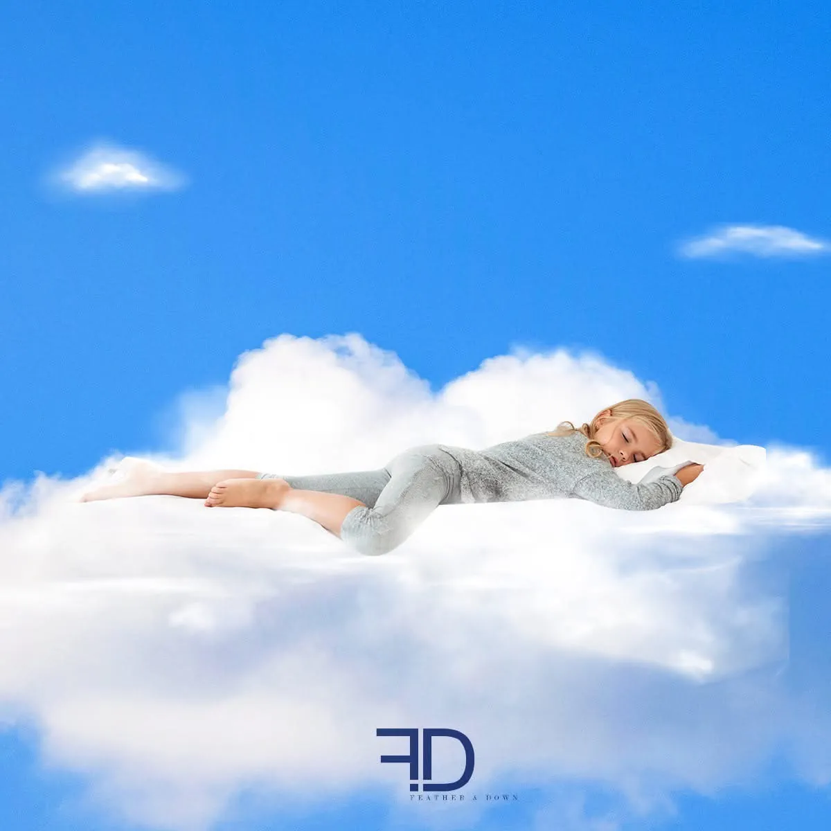 F&D